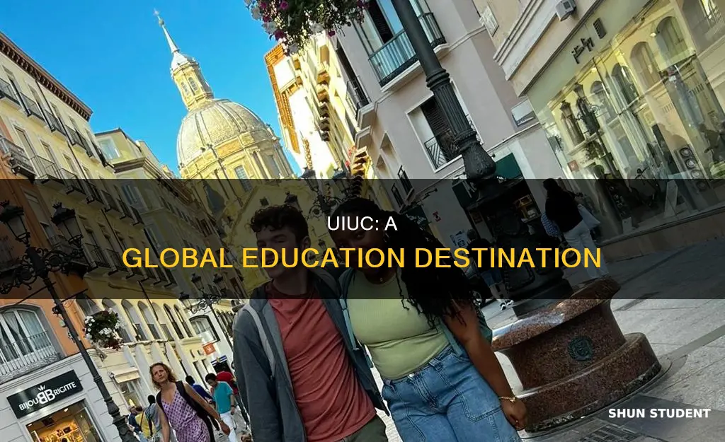 why do international students choose to study at uiuc