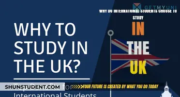 The UK's Education Appeal: International Students' Perspective