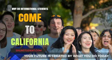 California's Appeal: International Students' Magnet