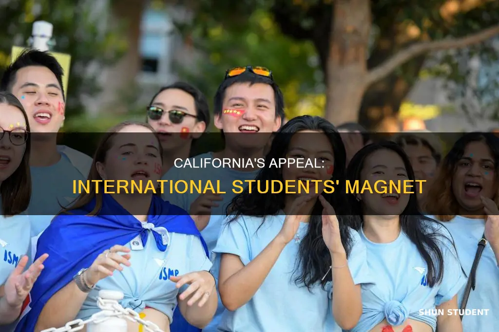 why do international students come to california