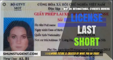 International Students: Temporary Licenses, Temporary Stay