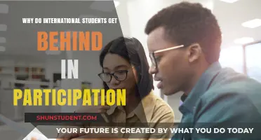International Students: Why Are They Reluctant to Participate?
