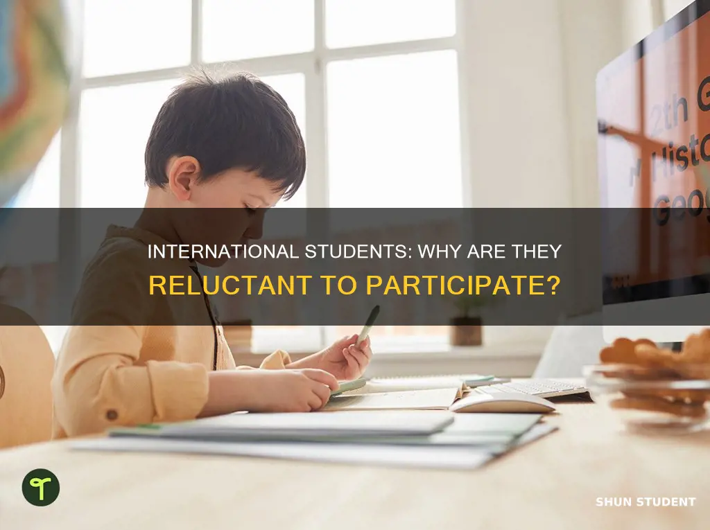 why do international students get behind in participation