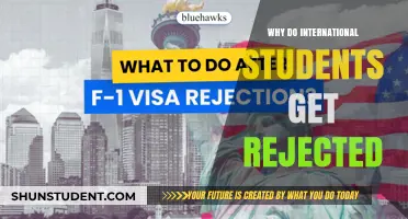 International Students: Common Reasons for Rejection