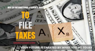 Understanding Tax Filing Requirements for International Students