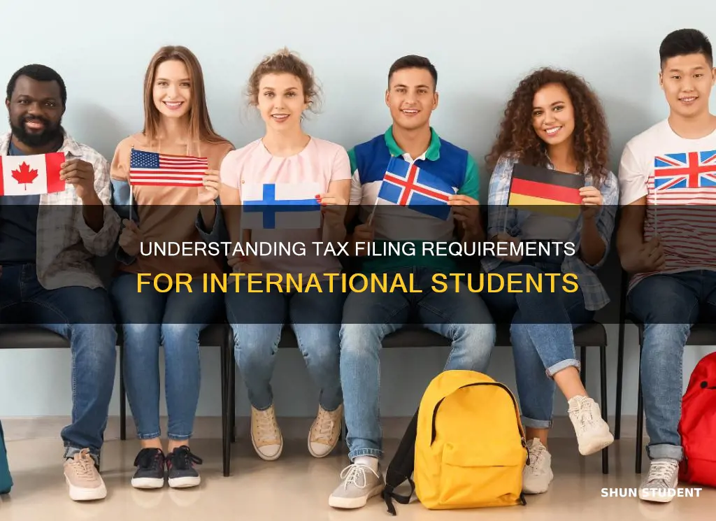 why do international students have to file taxes