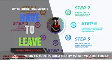International Student Departures: Why the Brain Drain?