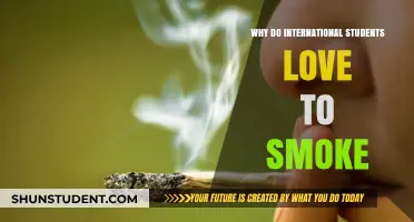 Smoking's Allure for International Students: A Cultural Conundrum
