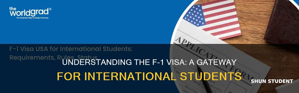 why do international students need an f-1 visa