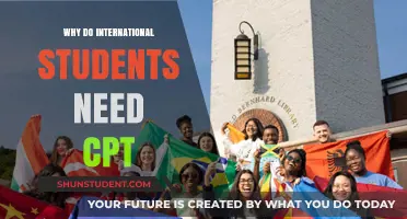 Understanding CPT: A Gateway for International Students