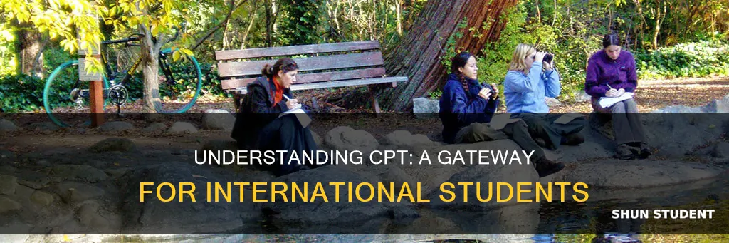 why do international students need cpt
