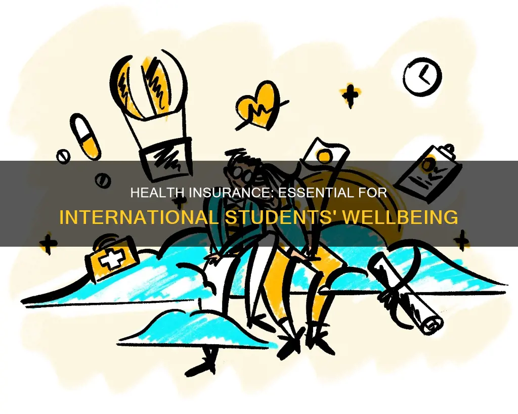 why do international students need health insurance