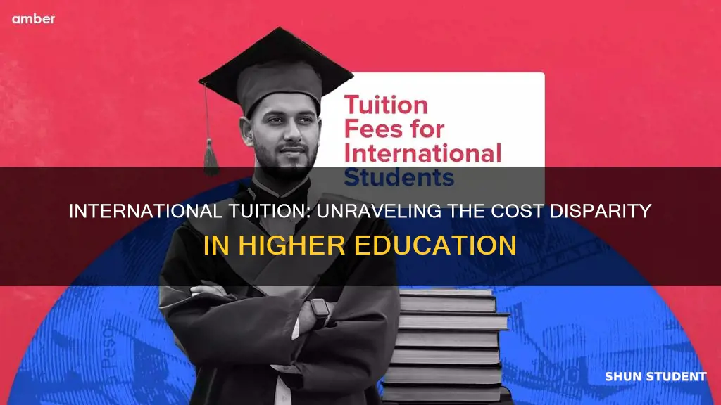 why do international students pay more for university