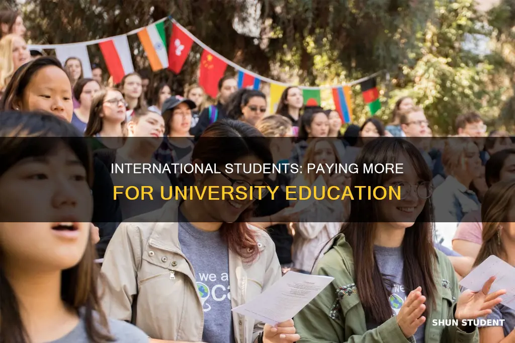 why do international students pay more for university