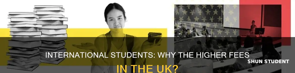 why do international students pay more uk
