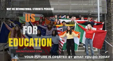 The Allure of US Education for International Students