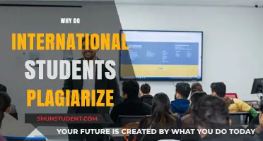 Plagiarism Among International Students: Understanding the Root Cause