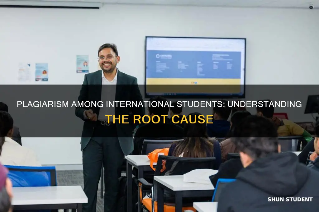 why do international students plagiarize