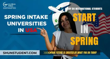 Spring Start: International Students' Smart Choice