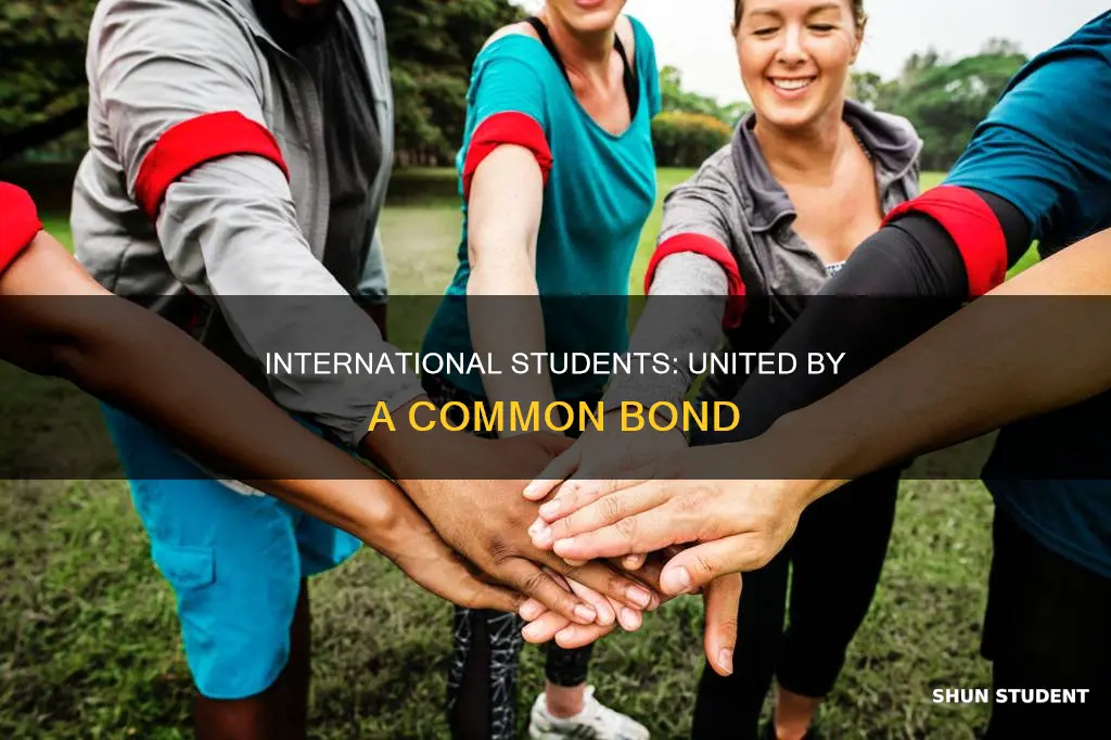 why do international students stick together