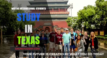 Texas: A Top Choice for International Students