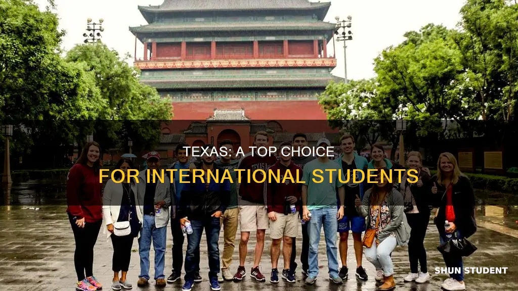 why do international students study in texas