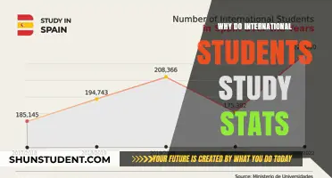 Stats: A Universal Language for International Students