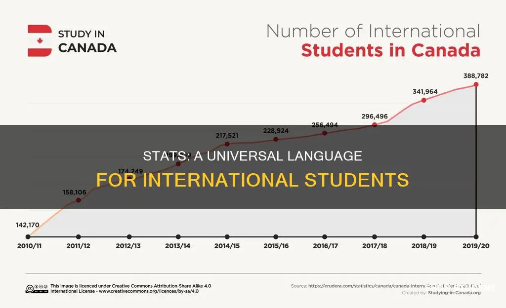 why do international students study stats