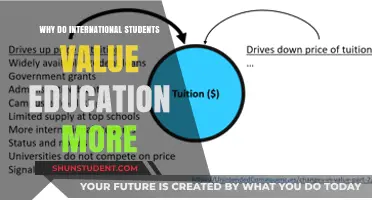 International Students: Education as a Priority