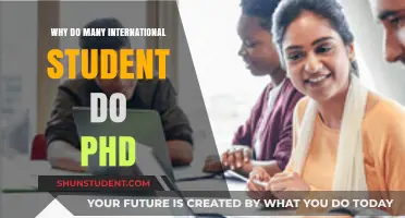 Pursuing PhDs: International Students' Motivations and Aspirations