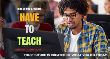 Why PhD Students Teach: Balancing Research and Classroom Responsibilities