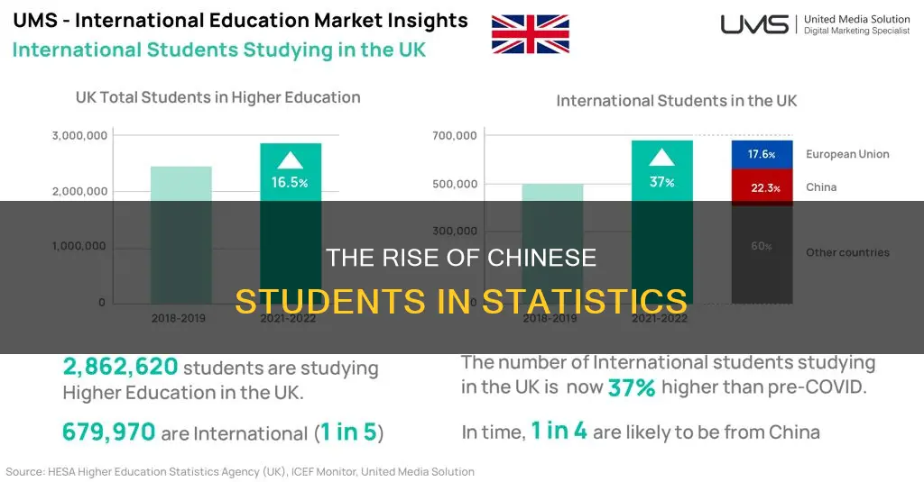 why do so many chinese international students study statistics