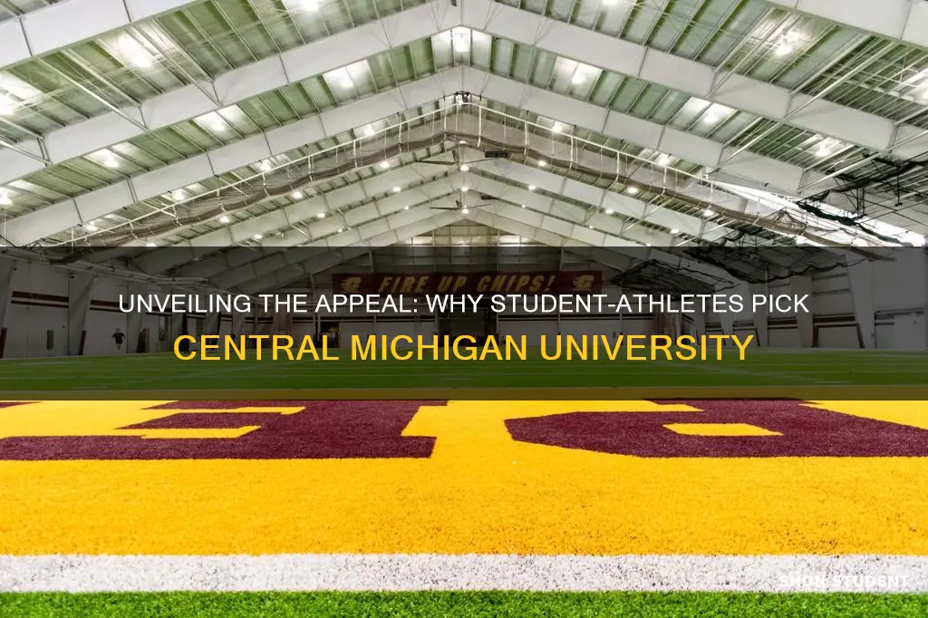 why do student athletes choose central michigan university