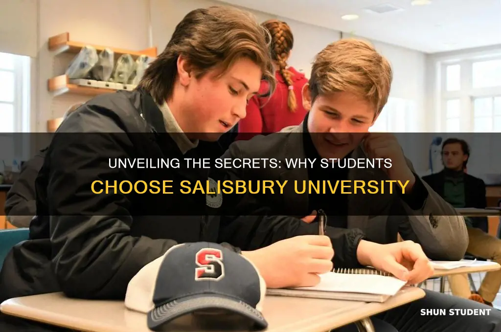 why do students attend salisbury university