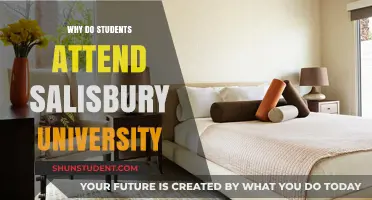Salisbury University: A Student's Dream Destination