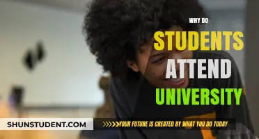 Seeking Knowledge, Skills, and Career Prospects: Why University?