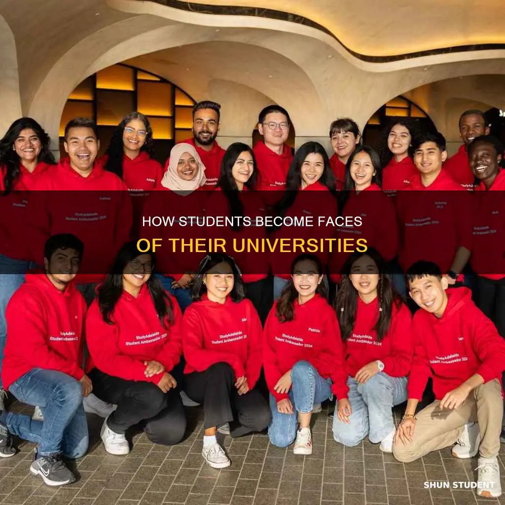 why do students become admission ambassadors at universities