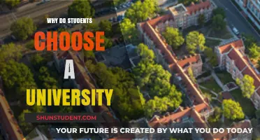Selecting a University: Factors Influencing Student Choices