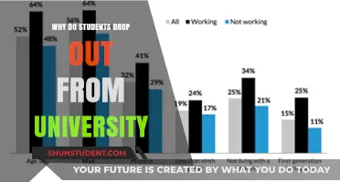 Unraveling the University Dropout Mystery: Understanding the Why