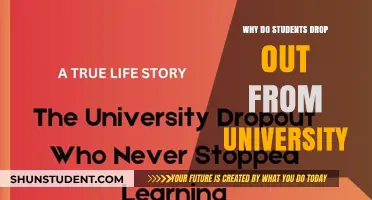 University Dropouts: Understanding the Reasons Behind It