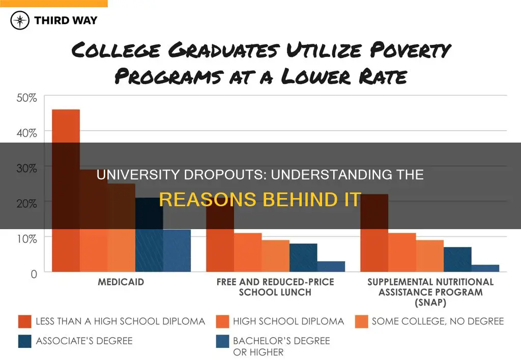 why do students drop out from university
