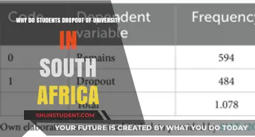 Unraveling the University Dropout Crisis: South Africa's Hidden Story