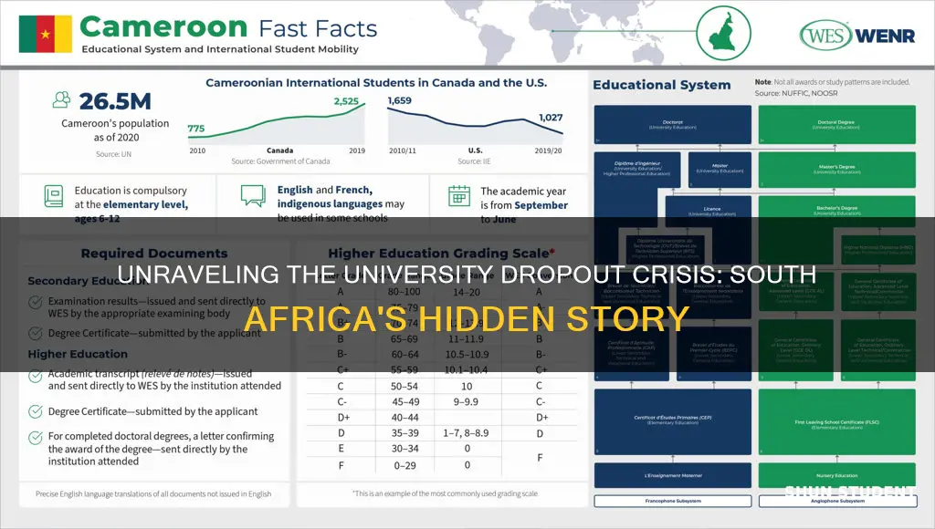 why do students dropout of university in south africa