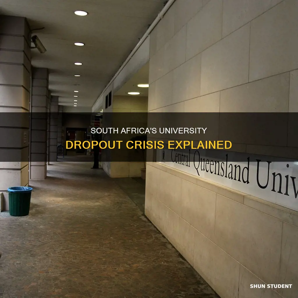 why do students dropout of university in south africa