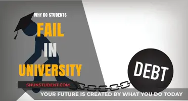 University Failure: Why Students Struggle to Succeed