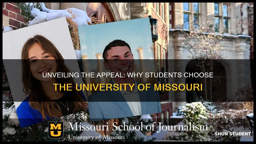 why do students go to university of missouri