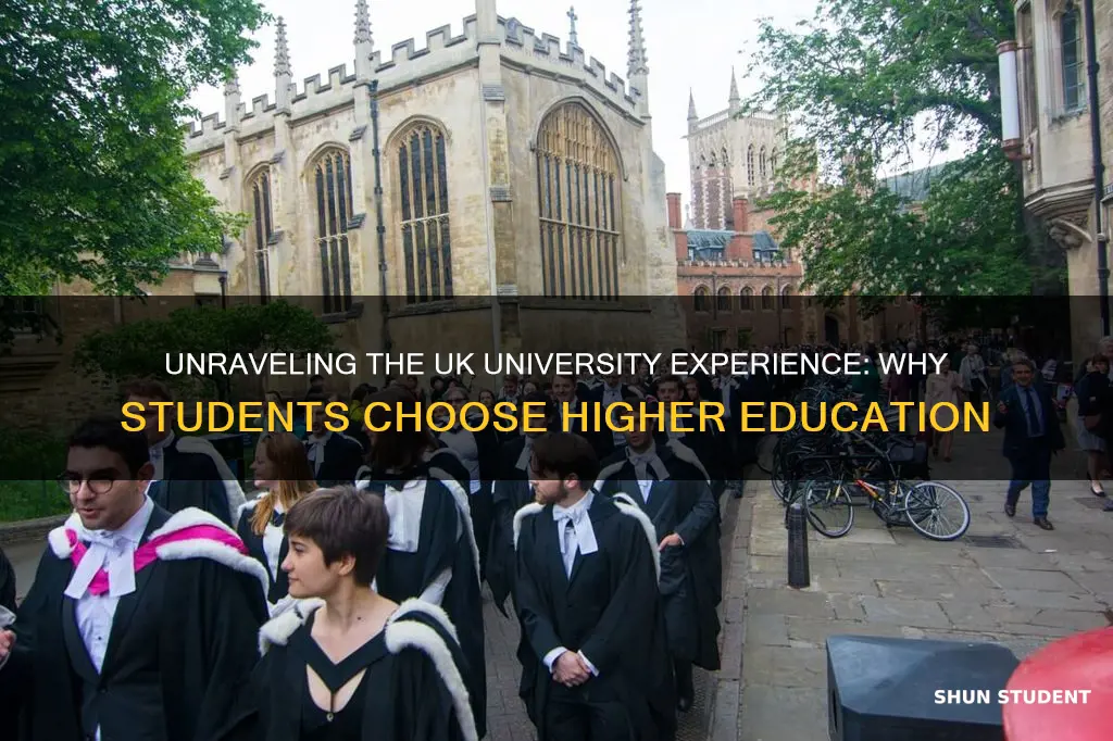 why do students go to university uk