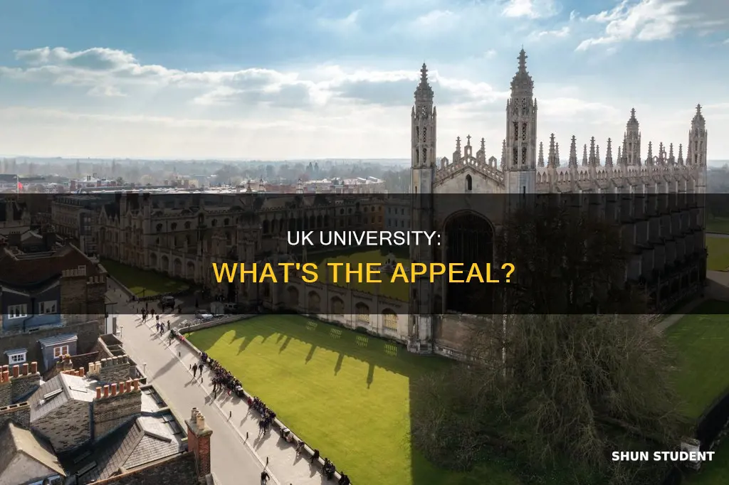 why do students go to university uk