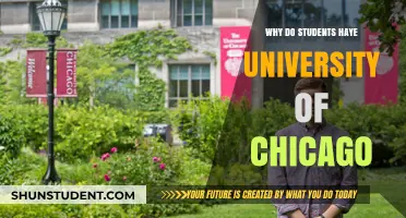 Unveiling the University of Chicago's Allure: Why Students Love It