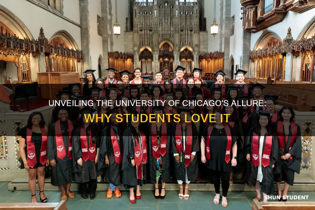 why do students haye university of chicago